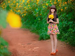 gerberas, Garden, bouquet, Yellow, Women