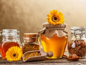 gerberas, honey, Propolis