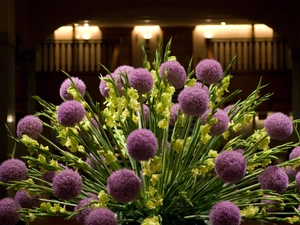 bouquet, purple, gladioli, driers