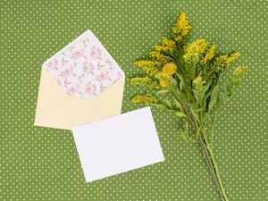 card, Green Background, Goldenrod, envelope, Flowers