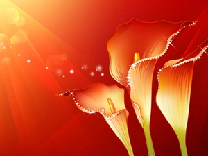 graphics, Three, Calla