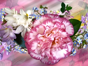 ringtones, graphics, camellia, Forget, Flowers