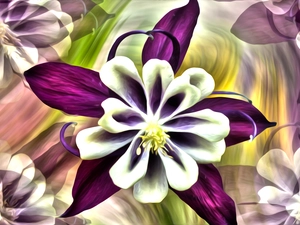 graphics, Flowers, columbine