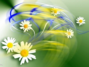 daisy, streaks, graphics, color