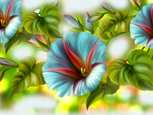 Leaf, graphics, Flowers, bindweed, Blue