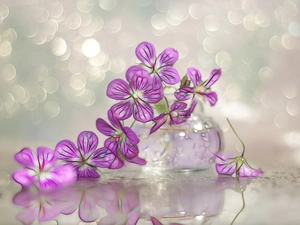 geranium, Fractalius, Bokeh, graphics