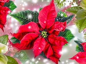 star of Bethlehem, graphics