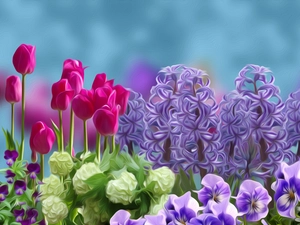 Hyacinths, graphics, Tulips, pansies, Flowers