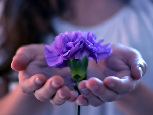 pink, hands