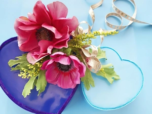 heart, Red, papavers