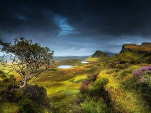 The Hills, trees, heather, lake