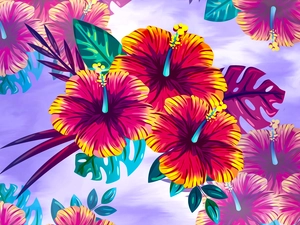 2D Graphics, Flowers, hibiscus