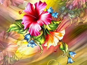 graphics, Colourfull Flowers, hibiskus