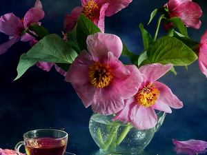 pitcher, Pink, Hollyhocks, cup