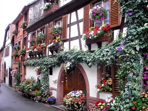 Houses, alley, Flourished