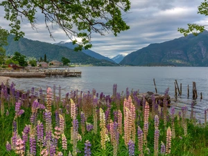 Platform, lake, viewes, Houses, Mountains, trees, lupine