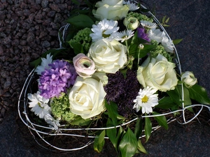 Heart, hyacinth, Margaret, Flowers, Valentine