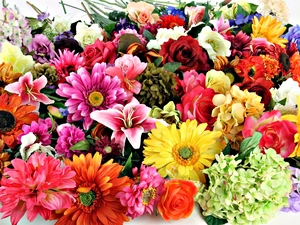 gerberas, bouquet, Hyacinths, lilies, roses, flowers