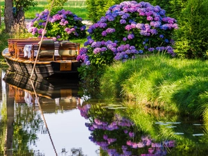Flowers, River, Boat, hydrangea