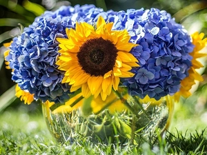 bouquet, Sunflower, hydrangeas, flowers