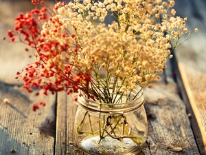 bouquet, flowers, jar, Dry