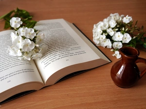 Book, phlox, jug, White