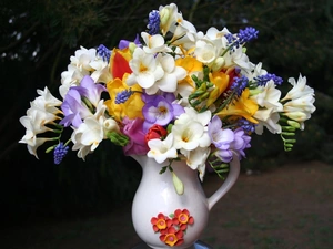 bouquet, White, jug, freesia