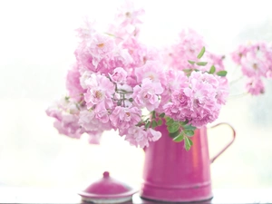 jug, Pink, Flowers