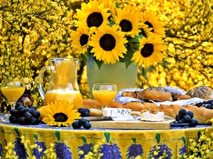 juice, Nice sunflowers, Laid, Table, cheese, Buns