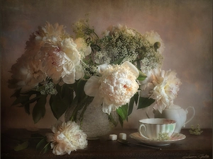 kettle, Peonies, cup