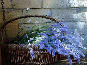 basket, lavender