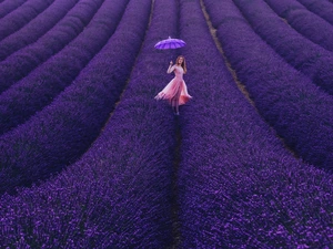 Field, Women, umbrella, lavender