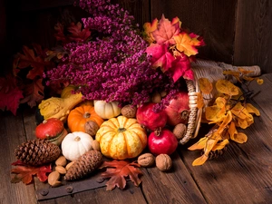 pumpkin, heather, cones, Leaf, composition, grenades, nuts