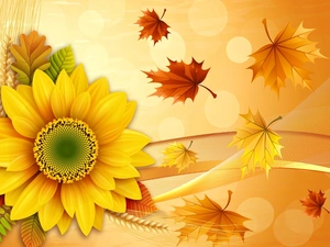 Leaf, autumn, Sunflower