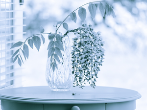 crystal, wistaria, Table, Leaf, twig, Vase, Window