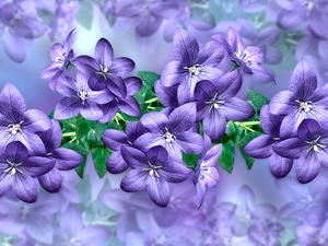 Flowers, leaves, 2D Graphics, ringtones