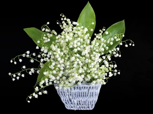 leaves, Flowers, lilies