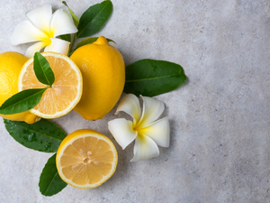 lemons, Plumeria