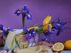 lemons, Irises, Tulips