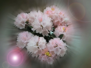 flowers, small bunch, light pink