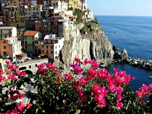 Bougainvillea, Liguria, Town, Riomaggiore, sea