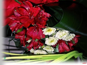 bouquet, Astra, Extras, lilies