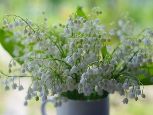 lilies, Flowers, bouquet