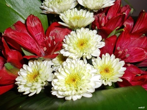 bouquet, Astra, Leaf, lilies