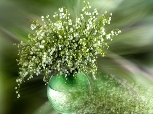 Flowers, vase, graphics, lilies