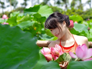 lotuses, brunette, Garden