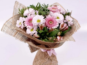 marguerites, bouquet, Astrów