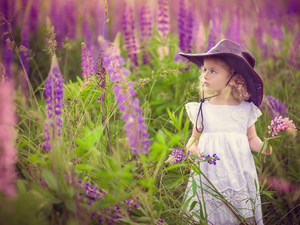 girl, lupine, Meadow, Hat