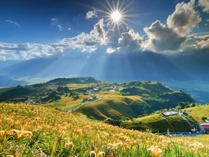 Meadow, lilies, sun, Mountains, rays