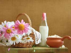 milk, Cottage cheese, daisy, Bottle, basket